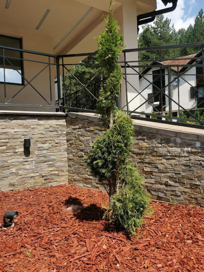 Apartman Stefanovic Vila Darija Lux Златибор Экстерьер фото
